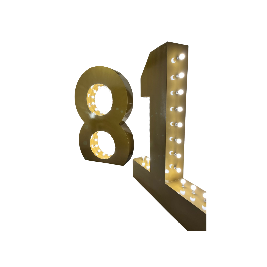 Large Numbers 1 & 8 (ONLY)